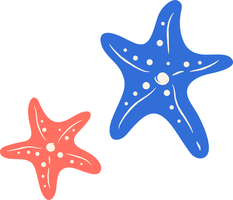 Ocean Sea Starfish Illustration