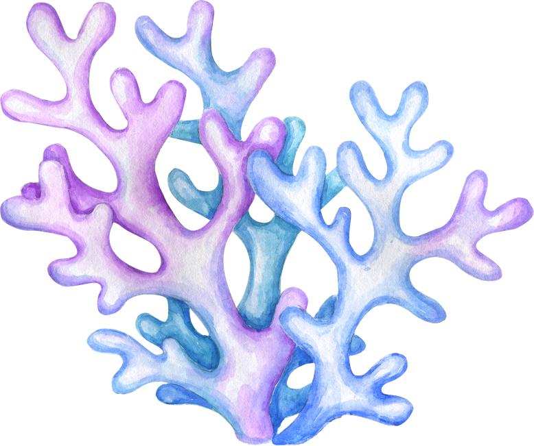 Watercolor Corals Illustration